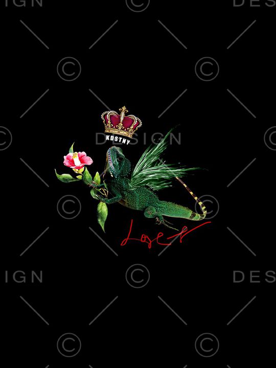 蜥蜴印花华亿平台图片