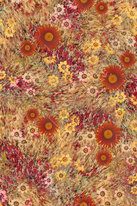 向日葵印花华亿平台图片