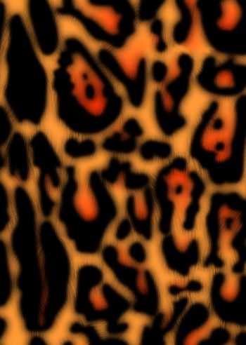 豹纹印花华亿平台图片