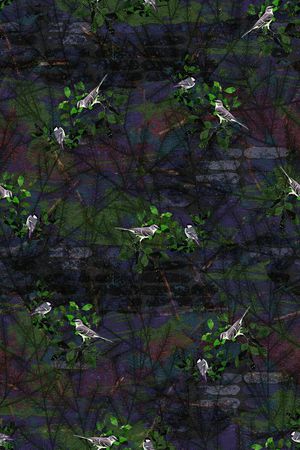 鸟印花华亿平台图片