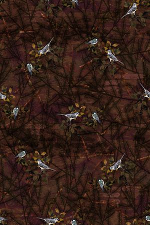 鸟印花华亿平台图片