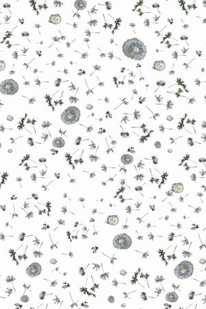 手绘花卉印花华亿平台图片