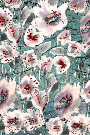 数码华亿平台印花华亿平台图片