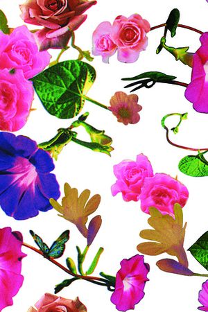 鲜花印花华亿平台图片