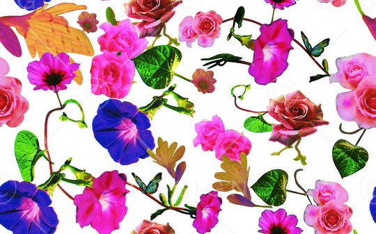 鲜花印花华亿平台图片