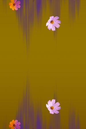 春夏华亿平台印花华亿平台图片