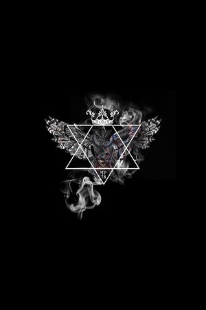 猫头鹰印花华亿平台图片