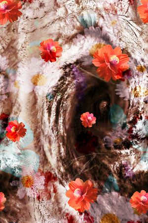 数码华亿平台印花华亿平台图片