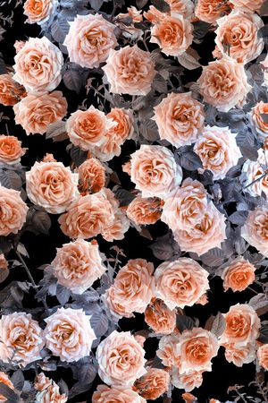 数码华亿平台印花华亿平台图片