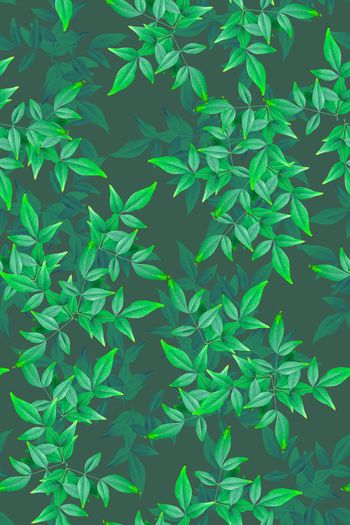 978267-170120204 - 副本2