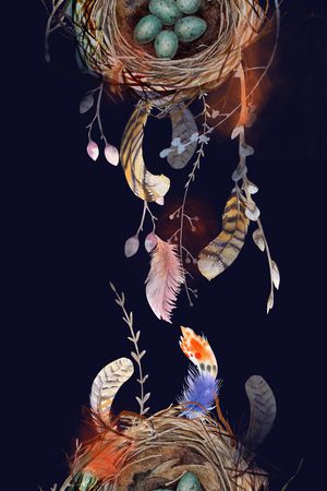 羽毛印花华亿平台图片