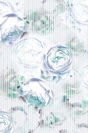 条纹印花华亿平台图片