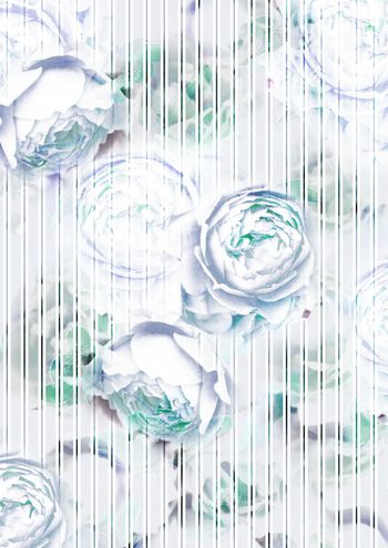 条纹印花华亿平台图片