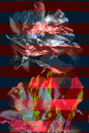 数码华亿平台印花华亿平台图片