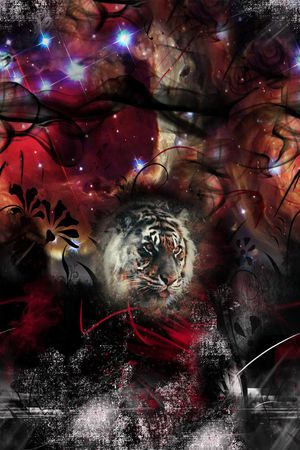 数码华亿平台印花华亿平台图片