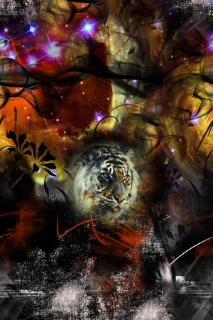 数码华亿平台印花华亿平台图片