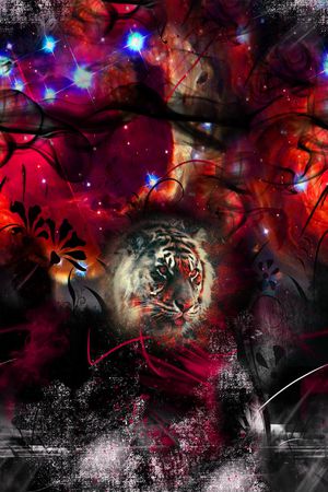 数码华亿平台印花华亿平台图片