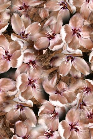 手绘花卉印花华亿平台图片