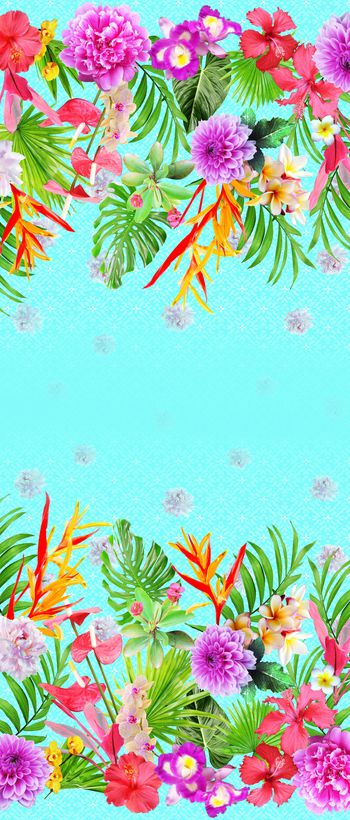 979997-热带双边定位花-1