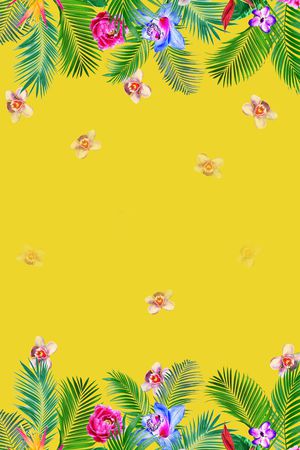 大牌风印花华亿平台图片