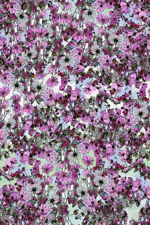 数码华亿平台印花华亿平台图片