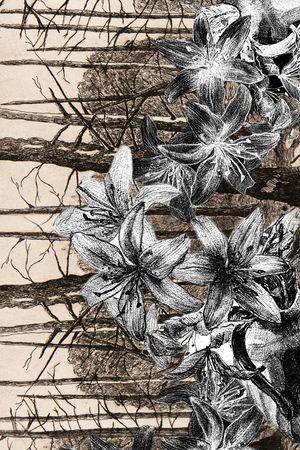 数码华亿平台印花华亿平台图片