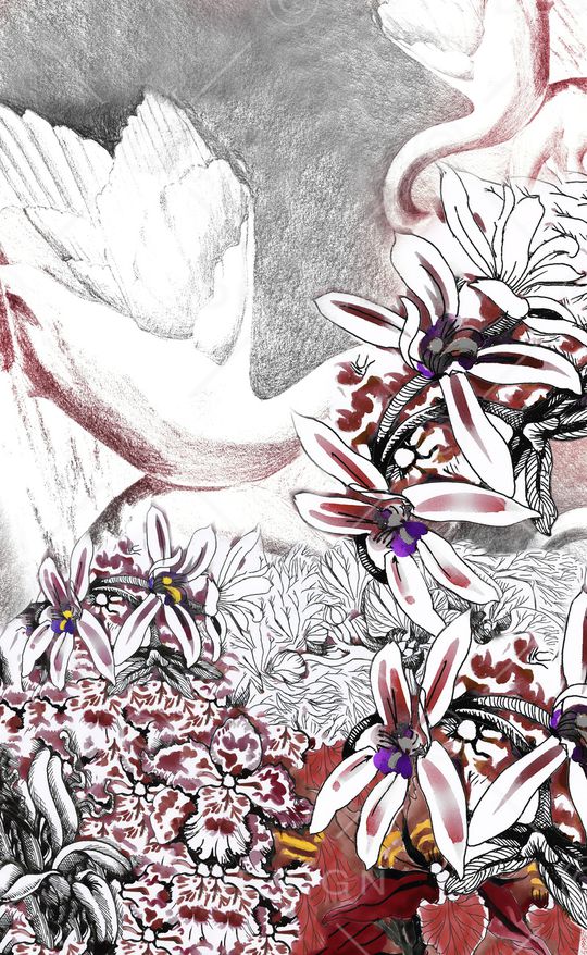 数码华亿平台印花华亿平台图片