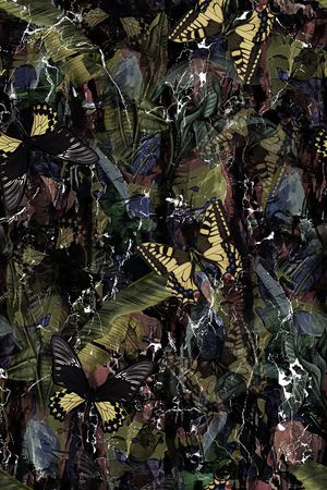 蝴蝶印花华亿平台图片