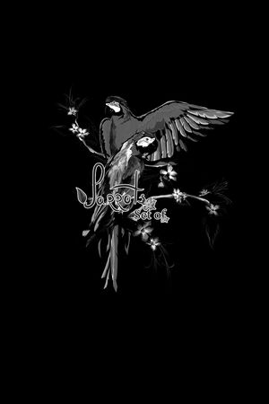 男装印花华亿平台图片