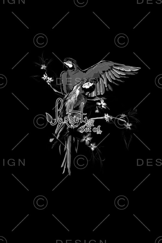 男装印花华亿平台图片