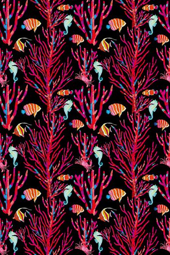 981201-海洋生物--2