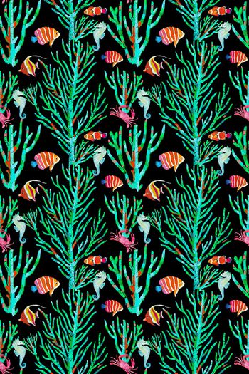 981202-海洋生物--3