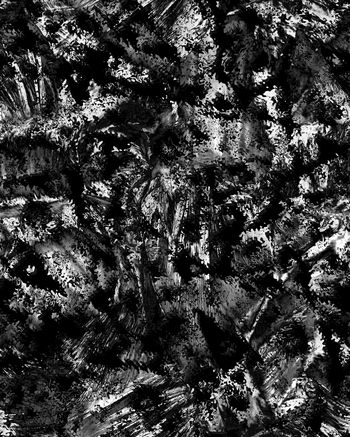 981385-2017-12-044-1