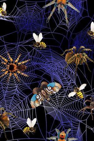 蝴蝶印花华亿平台图片