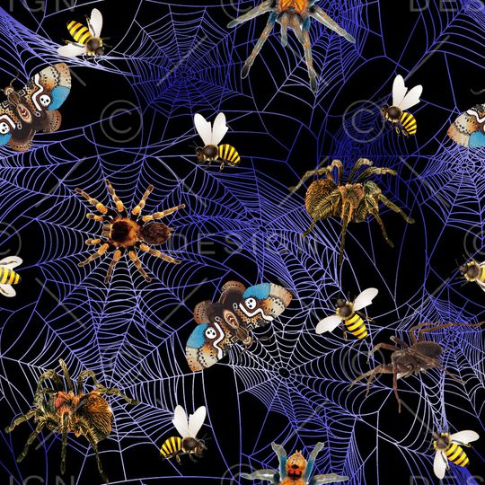 蝴蝶印花华亿平台图片