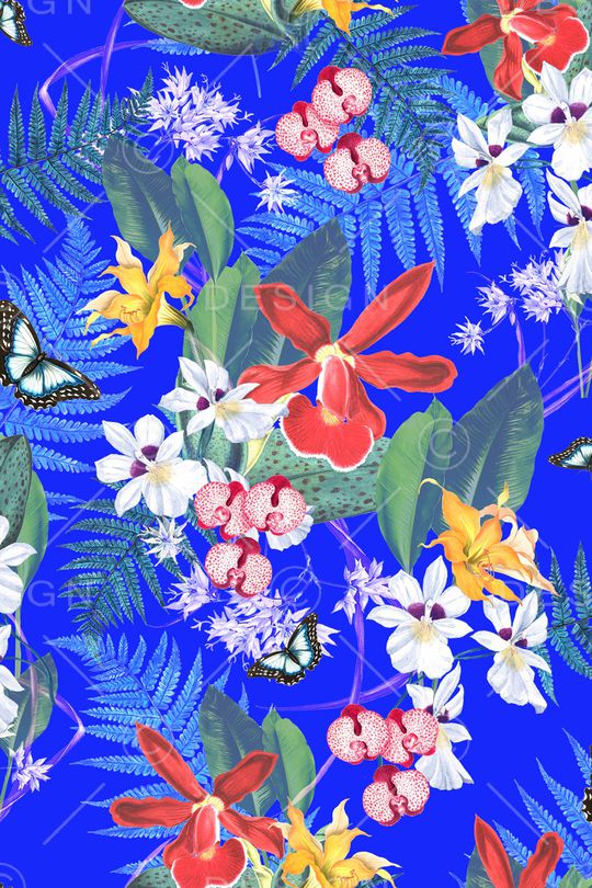 女装印花华亿平台图片