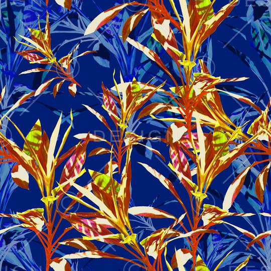 蕾丝网布华亿平台印花华亿平台图片