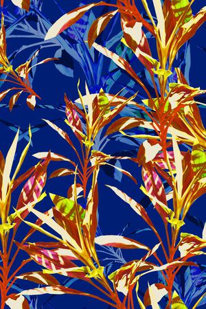 蕾丝网布华亿平台印花华亿平台图片