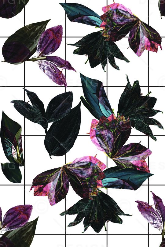 矢量印花华亿平台图片