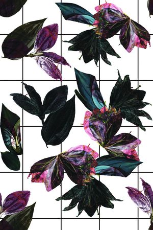 矢量印花华亿平台图片