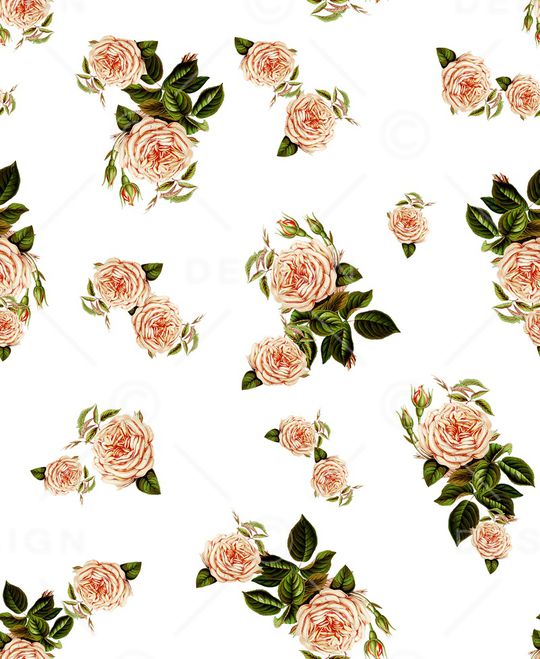 月季花印花华亿平台图片