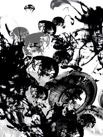 男装印花华亿平台图片