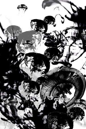 男装印花华亿平台图片