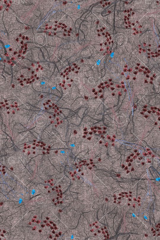 数码华亿平台印花华亿平台图片