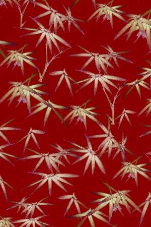 国画竹子印花华亿平台图片