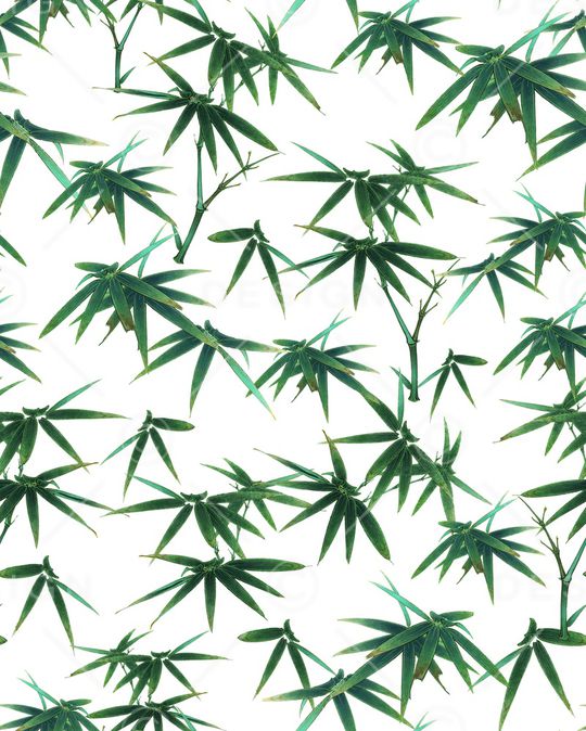 国画竹子印花华亿平台图片