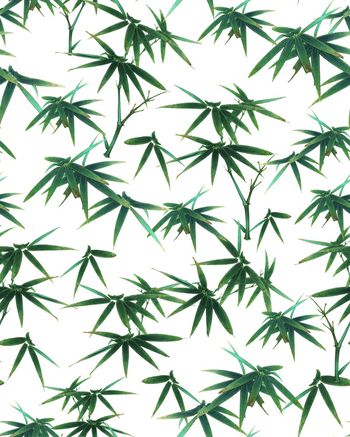 国画竹子印花华亿平台图片