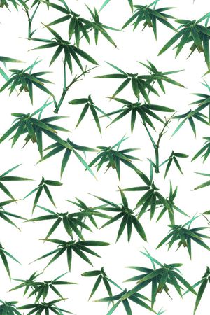 国画竹子印花华亿平台图片