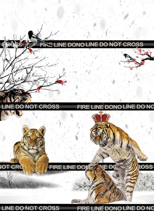 鸟印花华亿平台图片