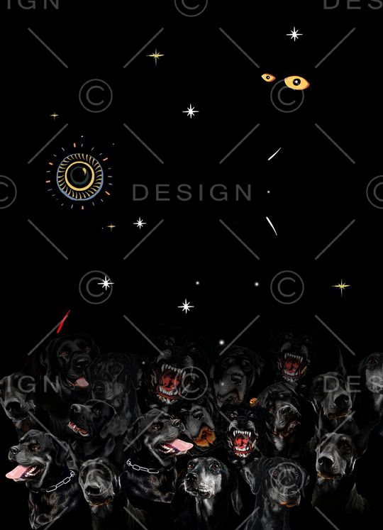 星空印花华亿平台图片